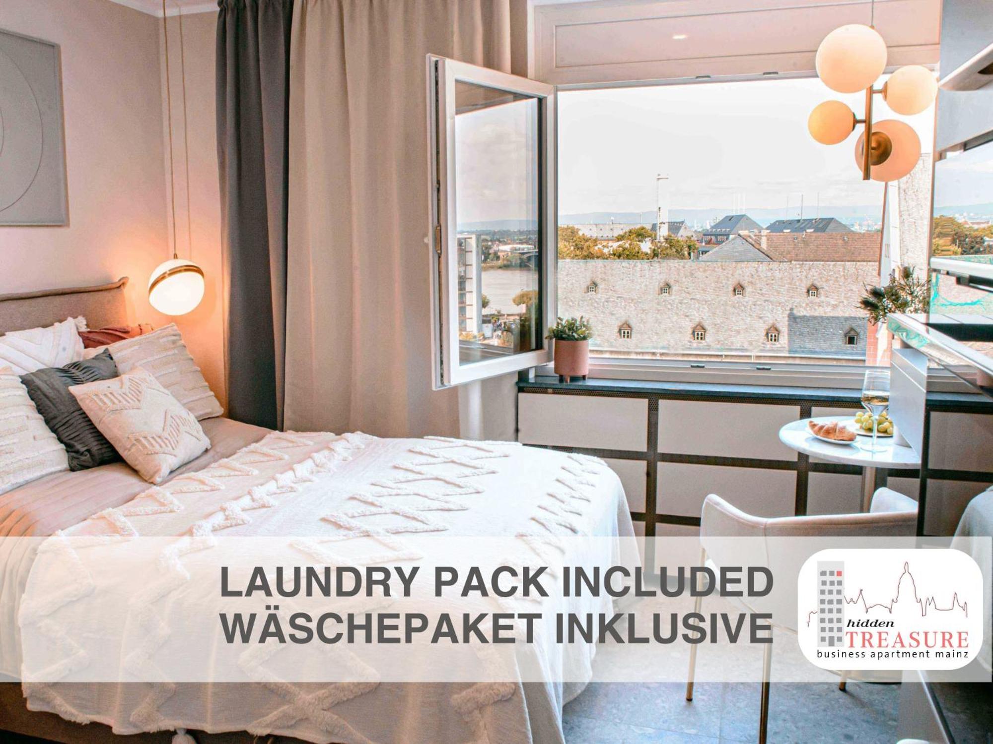 Hidden Treasure Business Apartment Mainz - Fantastic Rhine View In Center Of Mainz Old Town Luaran gambar