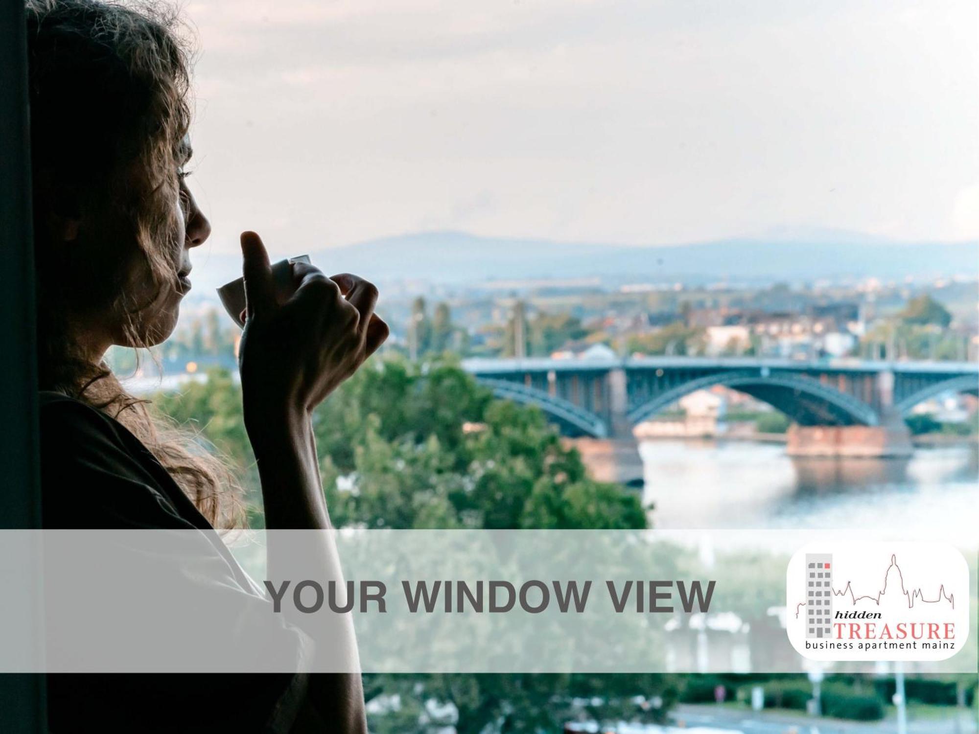 Hidden Treasure Business Apartment Mainz - Fantastic Rhine View In Center Of Mainz Old Town Luaran gambar