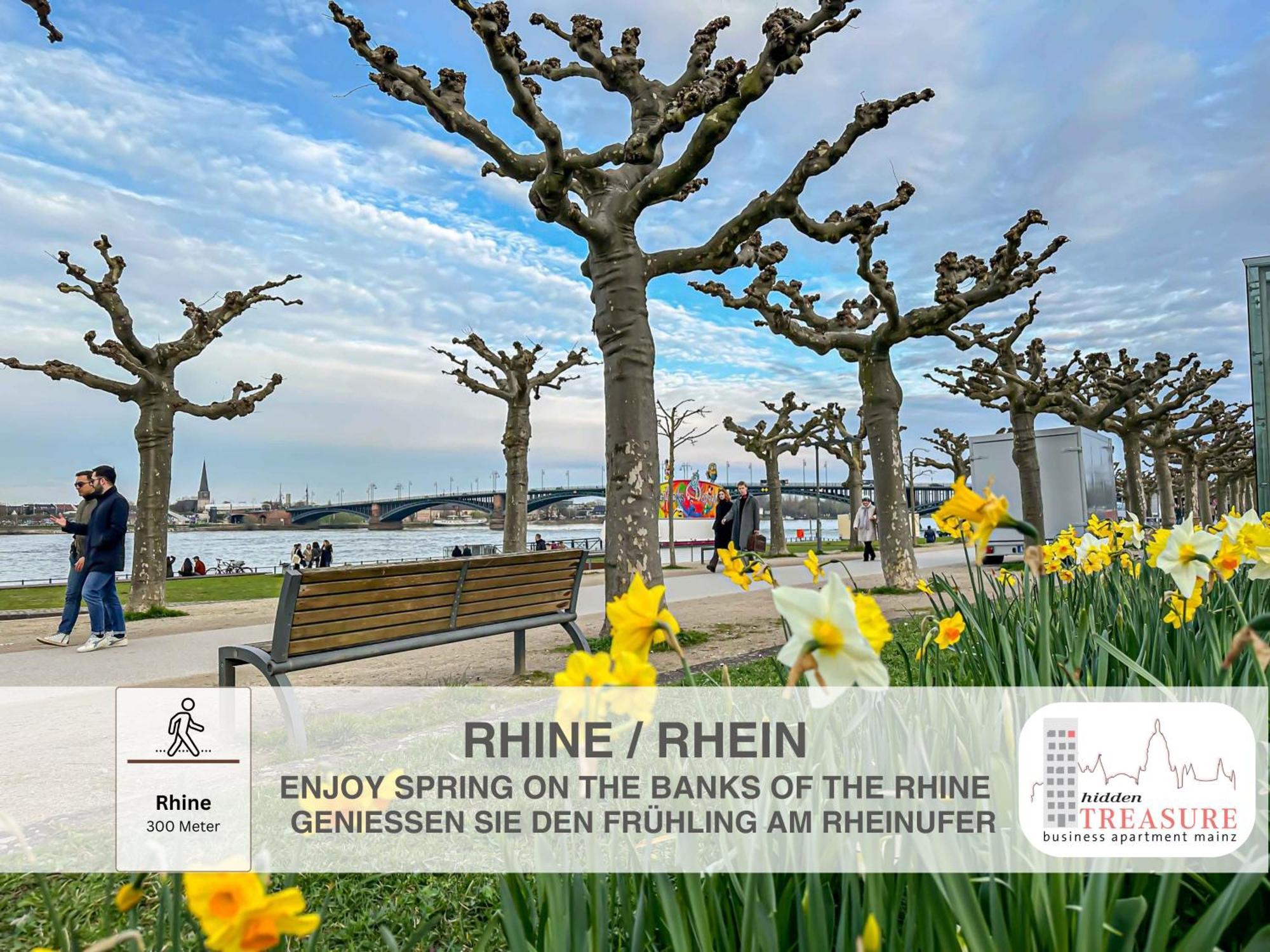 Hidden Treasure Business Apartment Mainz - Fantastic Rhine View In Center Of Mainz Old Town Luaran gambar