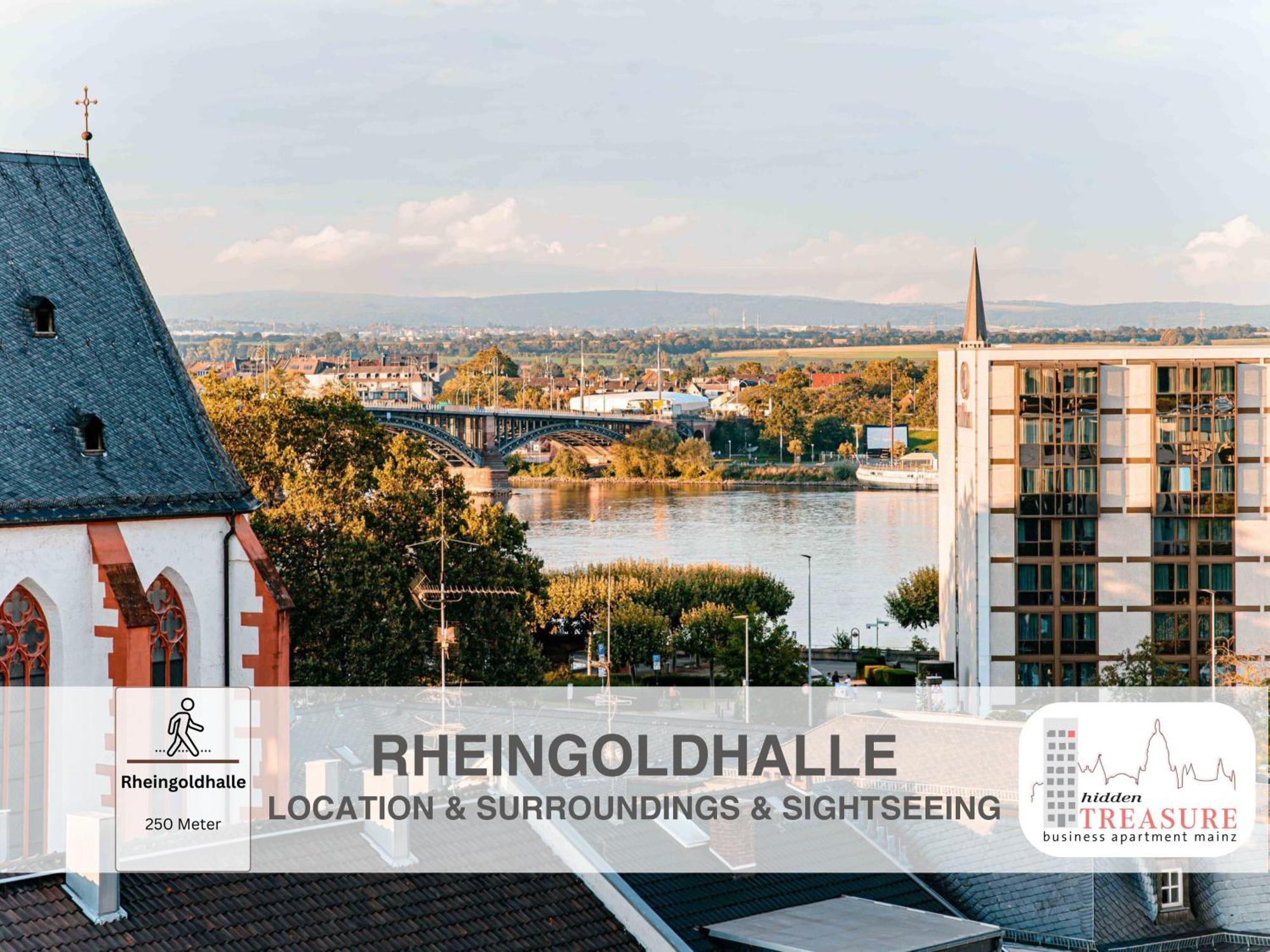Hidden Treasure Business Apartment Mainz - Fantastic Rhine View In Center Of Mainz Old Town Luaran gambar