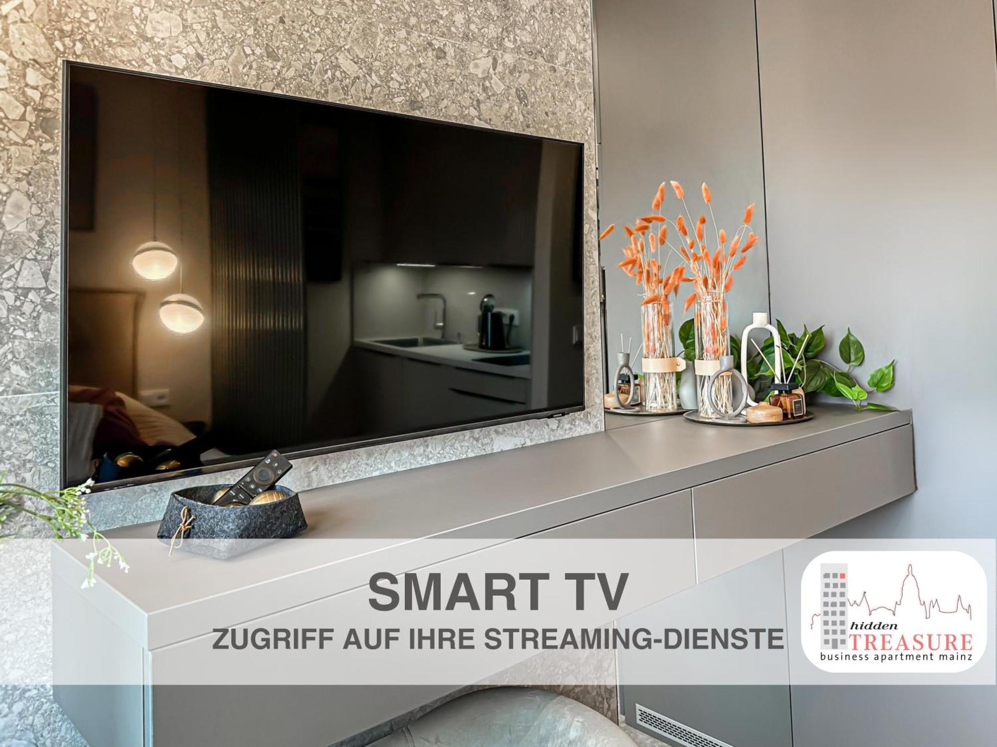 Hidden Treasure Business Apartment Mainz - Fantastic Rhine View In Center Of Mainz Old Town Luaran gambar