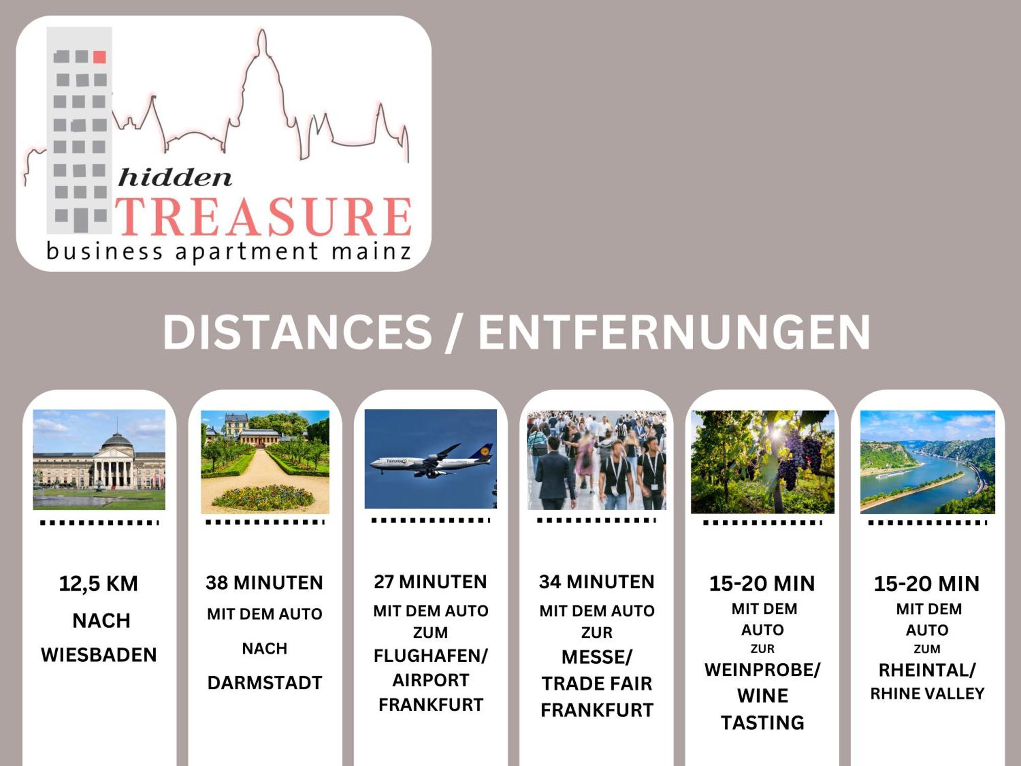 Hidden Treasure Business Apartment Mainz - Fantastic Rhine View In Center Of Mainz Old Town Luaran gambar